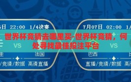 世界杯竞猜去哪里买-世界杯竞猜，何处寻找最佳投注平台